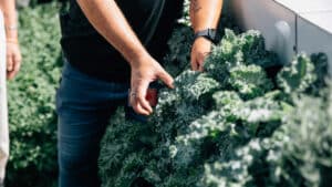 SNC's Tel-Aviv Rooftop Garden